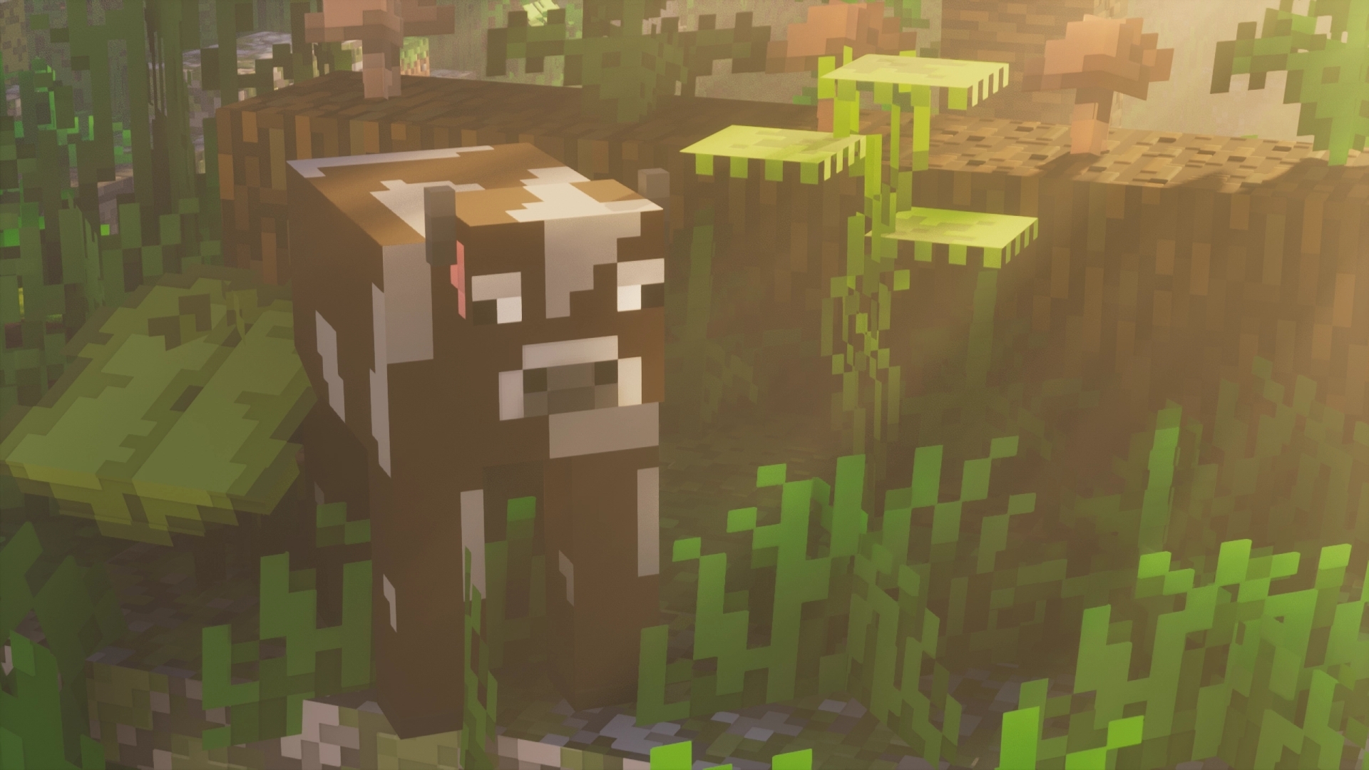 Simplista cow mob